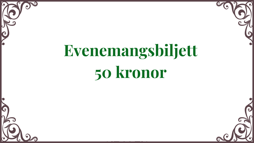 Evenemangsbiljett 17 februari